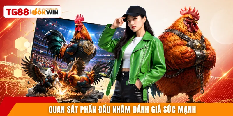 Quan sát phần đầu nhằm đánh giá sức mạnh